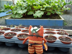 Gardener Beastie with Rhubarb