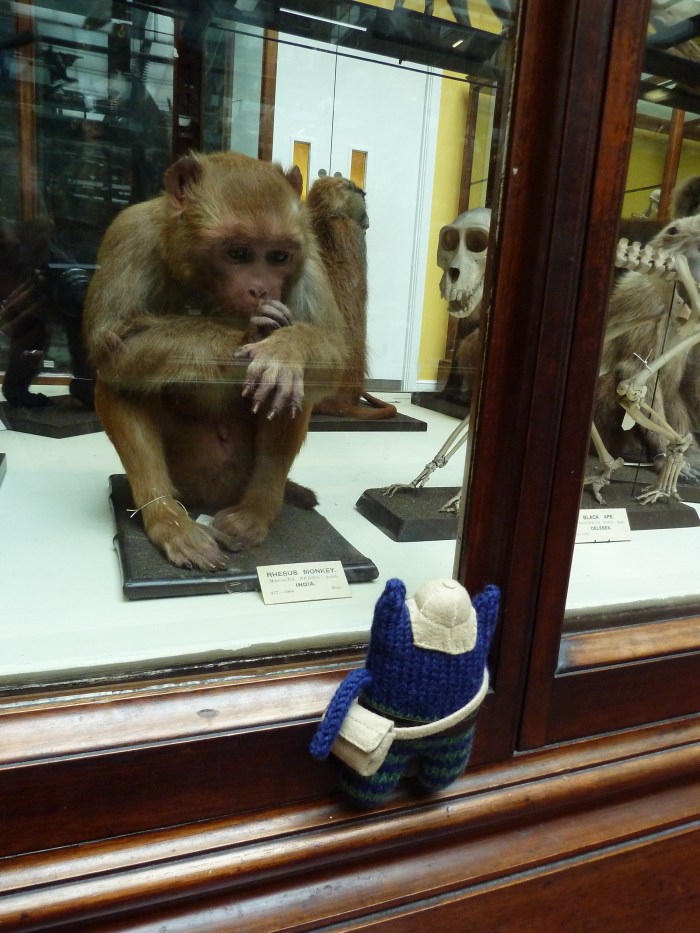 Explorer Beastie with Capuchin Monkey - CrawCrafts Beasties