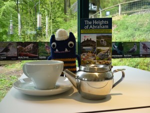 Teatime at the Heights of Abraham