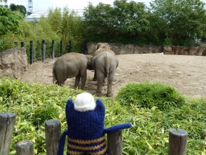 Explorer Beastie Watching the Elephants