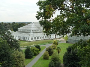 Temperate House from the Treetop Walkway