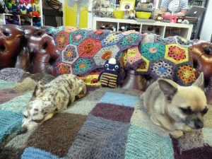 Explorer Beastie at I Knit