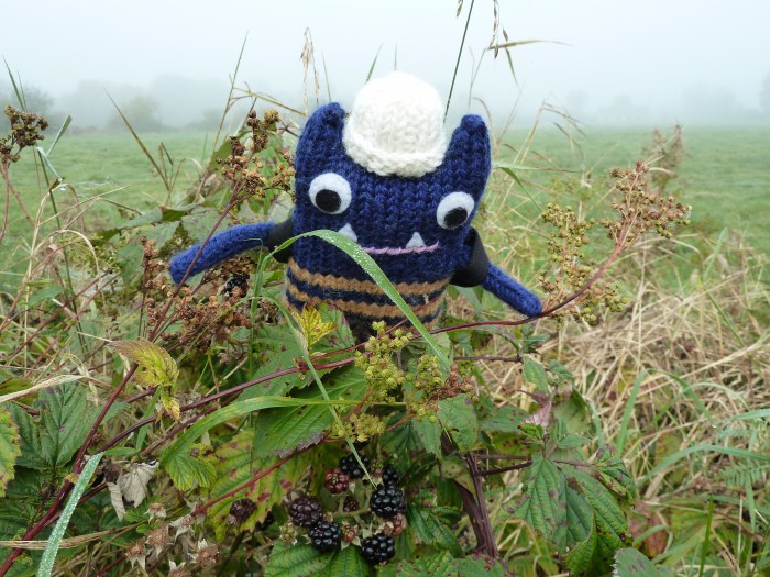 Explorer Beastie finds Blackberries