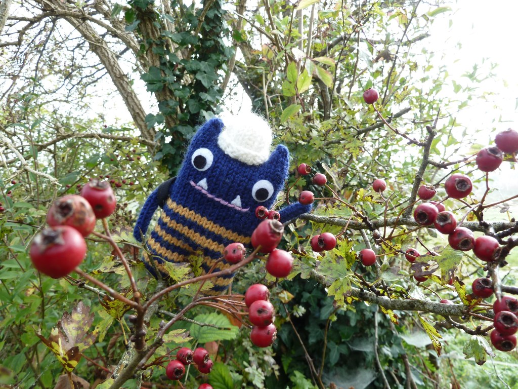 Explorer Beastie Picking Haws - CrawCrafts Beasties