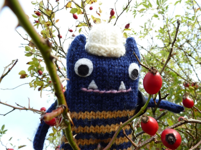Explorer Beastie with Rosehips, by CrawCrafts Beasties