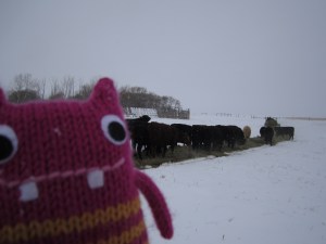 Reader Beastie Feeding the Cattle - CrawCrafts Beasties/N Couture