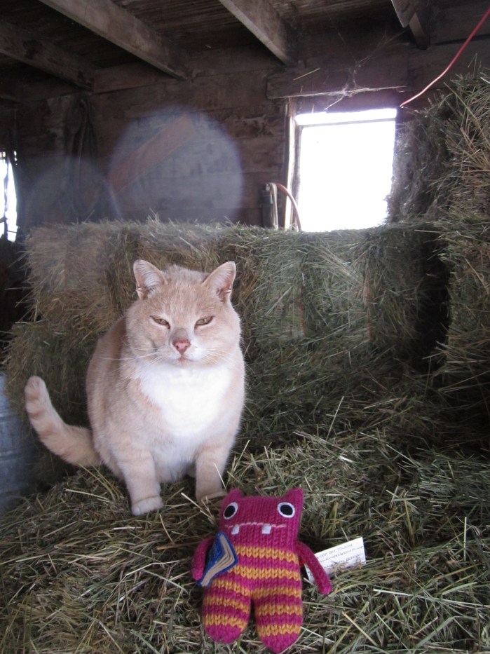 Reader Beastie hangs out in the barn with his new feline friend - CrawCrafts Beasties/N Couture