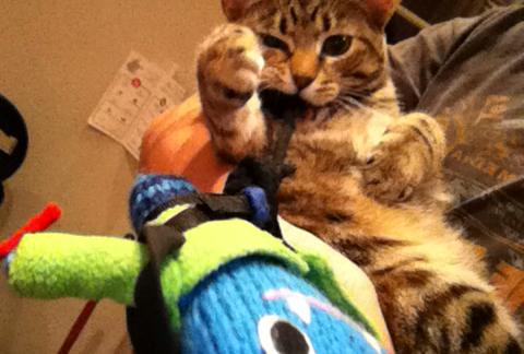 Climber Beastie with his new friend Amelie - J Donaldson/CrawCrafts Beasties