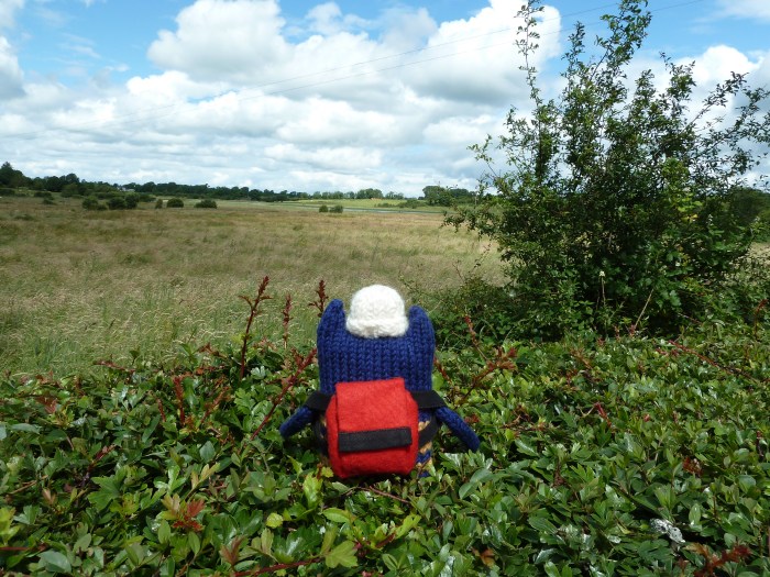 Explorer Beastie Goes For A Walk! CrawCrafts Beasties