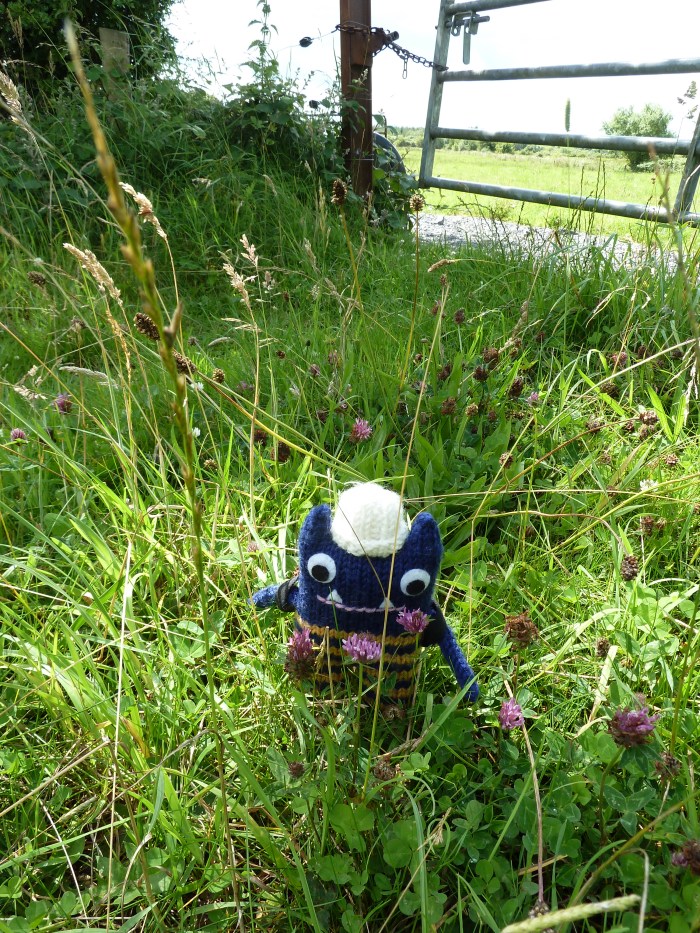Explorer Beastie Stops to Smell the Flowers - CrawCrafts Beasties
