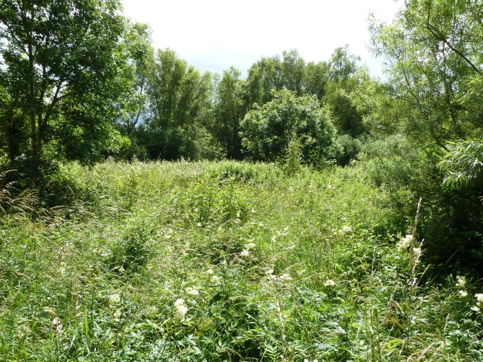 50 Shades of... GREEN! CrawCrafts Beasties