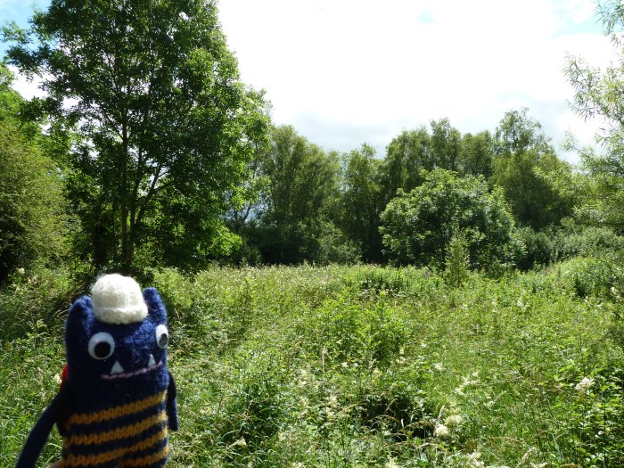 Explorer Beastie in the Greenery - CrawCrafts Beasties