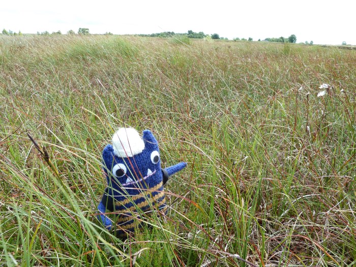 Explorer Beastie with the Bog Plants - CrawCrafts Beasties