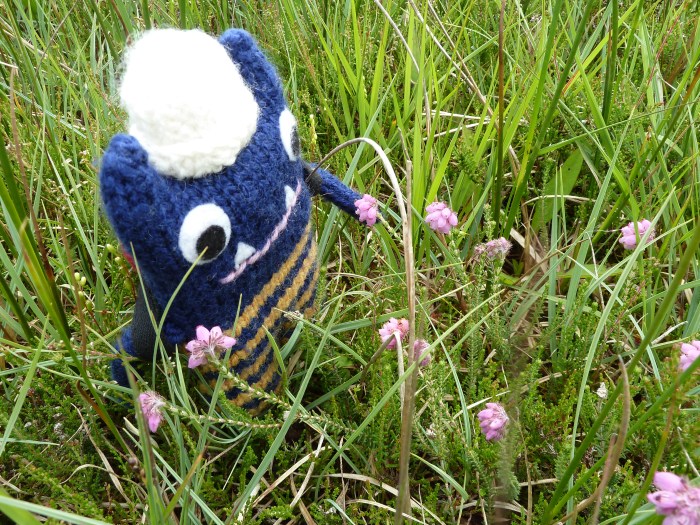 Explorer Beastie Makes a Botanical Discovery - CrawCrafts Beasties