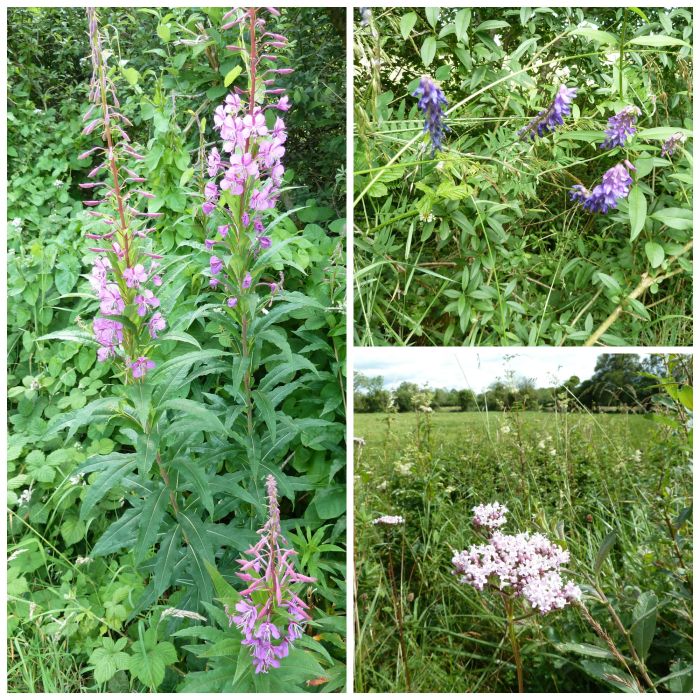 More Natural Purples - CrawCrafts Beasties