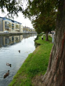 Ducks on the way to the market - CrawCrafts Beasties