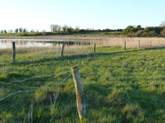 Down at the Lake - CrawCrafts Beasties