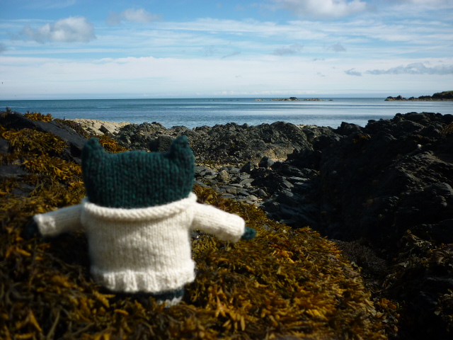 Paddy on the Rocks - H Crawford/CrawCrafts Beasties