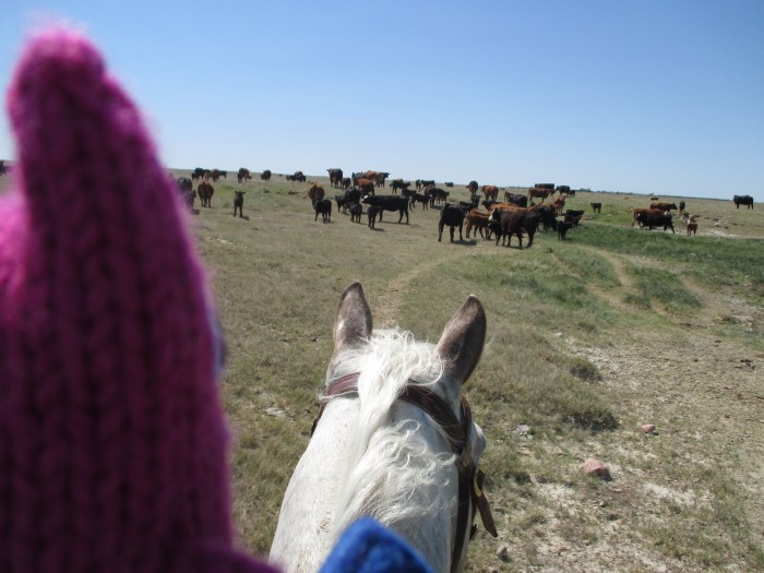 Reader Beastie Checks the Herd - N Couture/CrawCrafts Beasties