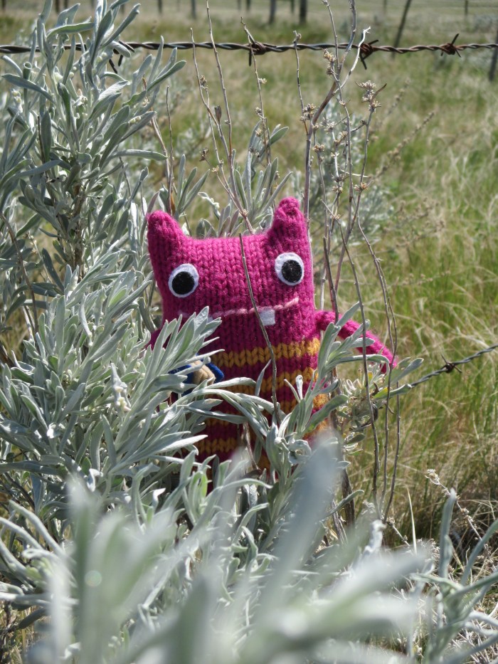 Reader Beastie Relaxes in the Sunshine - N Couture/CrawCrafts Beasties