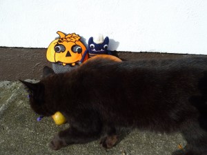 Gizmo the Gatecrasher - CrawCrafts Beasties