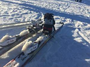 Not Quite Right... S Allen/CrawCrafts Beasties