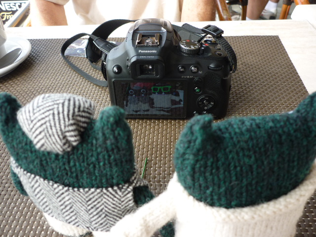 Paddy and Plunkett on Camera - H Crawford/CrawCrafts Beasties