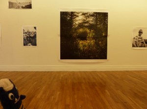 Explorer Beastie at the RHA Gallery, Dublin - CrawCrafts Beasties