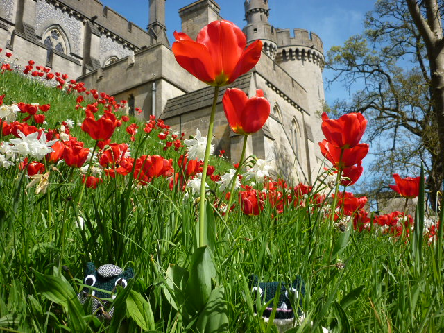 Paddy and Plunkett at Arundel Castle - H Crawford/CrawCrafts Beasties