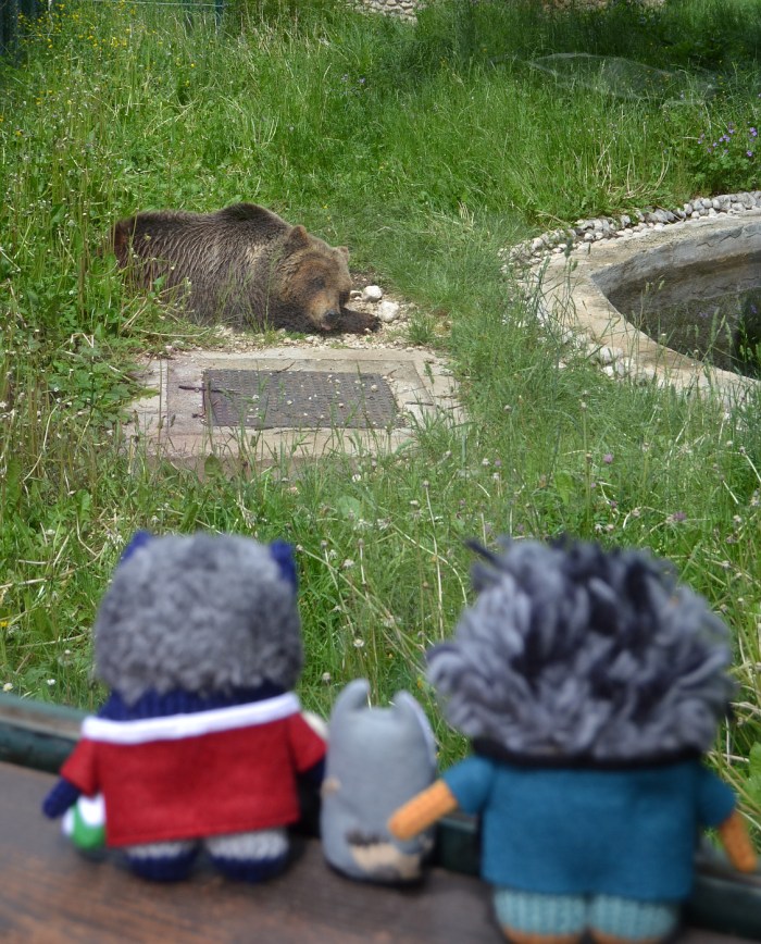 A Poorly Bear at the Park Zoo, Pescasseroli - A de Girolamo/CrawCrafts Beasties