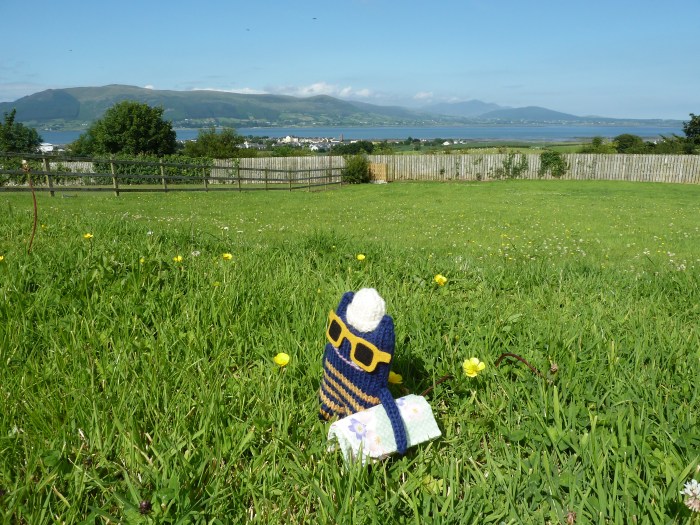 Explorer Beastie Chooses A Sunny Spot - CrawCrafts Beasties