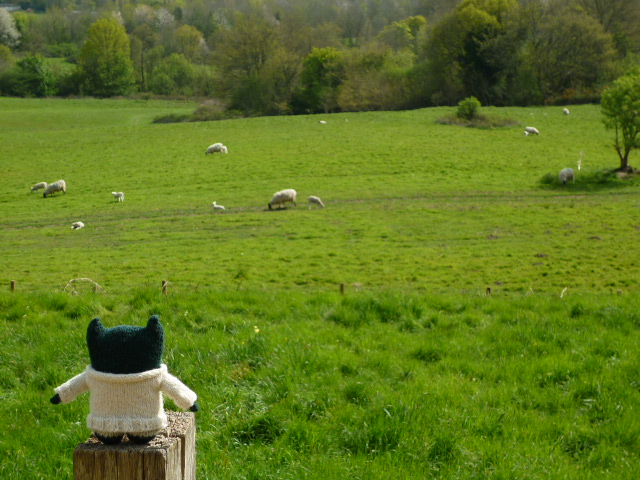 Paddy Admires the View - H Crawford/CrawCrafts Beasties