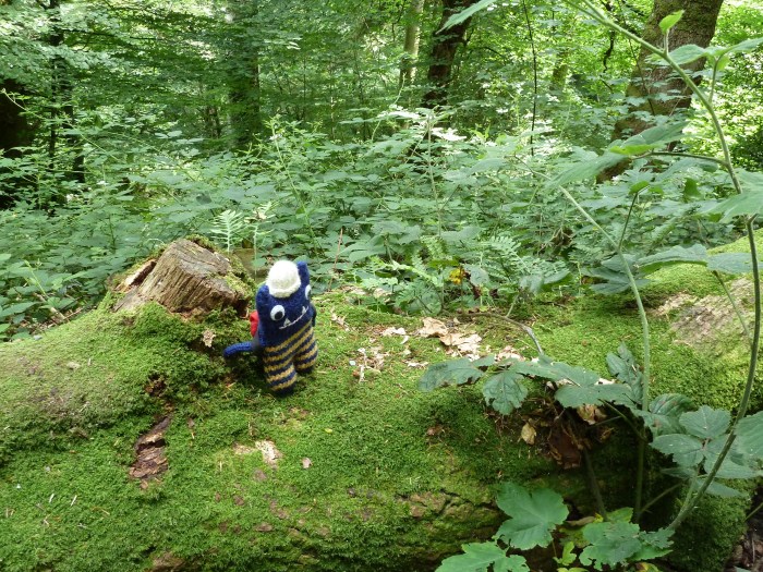 Monster Highway in the Forest! CrawCrafts Beasties