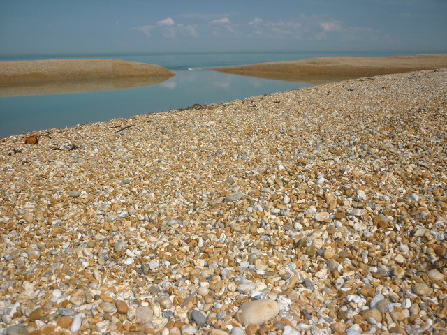 The Beach At Dungeness - H Crawford/CrawCrafts Beasties