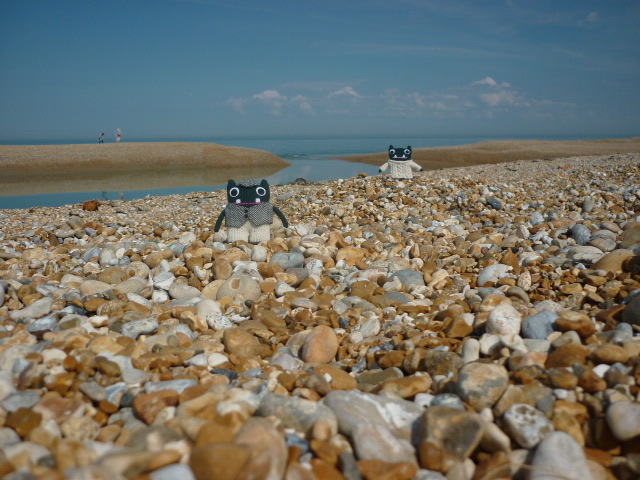 Paddy and Plunkett at Dungeness Beach - H Crawford/CrawCrafts Beasties