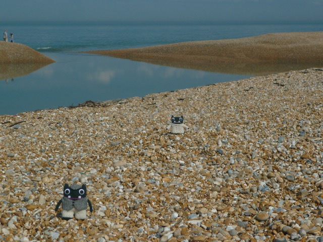 Beautiful Weather Today, Paddy! H Crawford/CrawCrafts Beasties