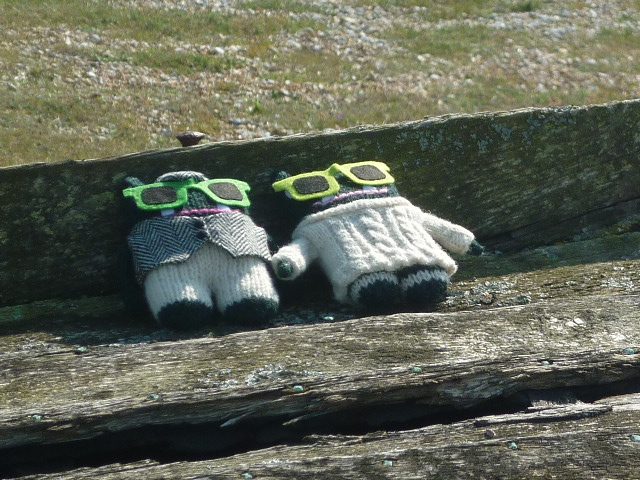 Paddy and Plunkett Catch Some Rays - H Crawford/CrawCrafts Beasties
