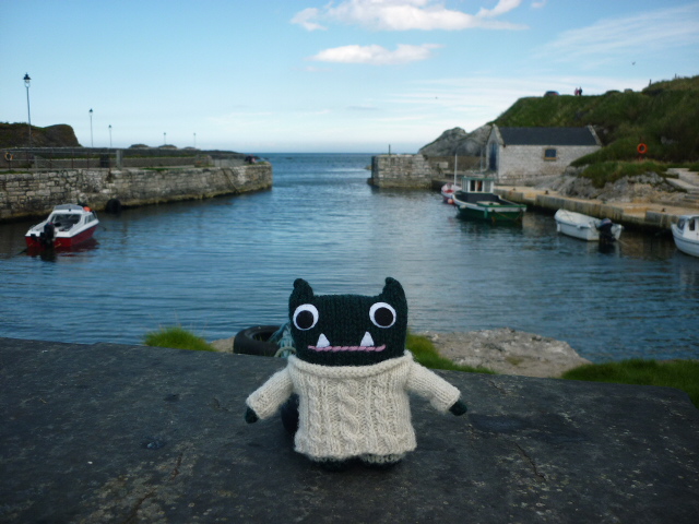 Paddy at Ballintoy Harbour - H Crawford/CrawCrafts Beasties
