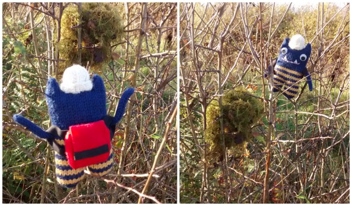 Finding a Bird's Nest - CrawCrafts Beasties