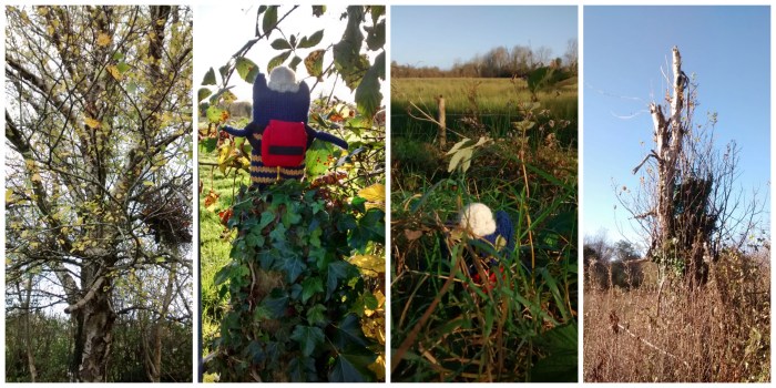 Among Fading Colours - CrawCrafts Beasties