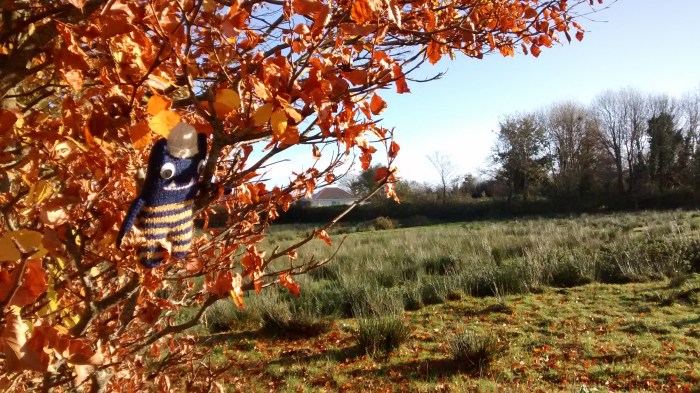 Late Autumn Colours With Explorer Beastie - CrawCrafts Beasties