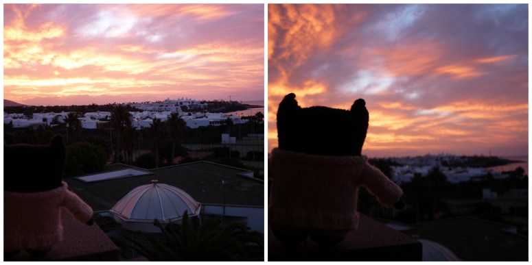 Paddy Greets the Dawn - H Crawford/CrawCrafts Beasties