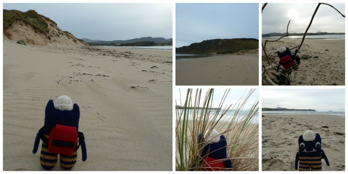 Explorer Beastie at Five Finger Strand - CrawCrafts Beasties