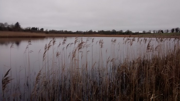 Down at the Lake - CrawCrafts Beasties