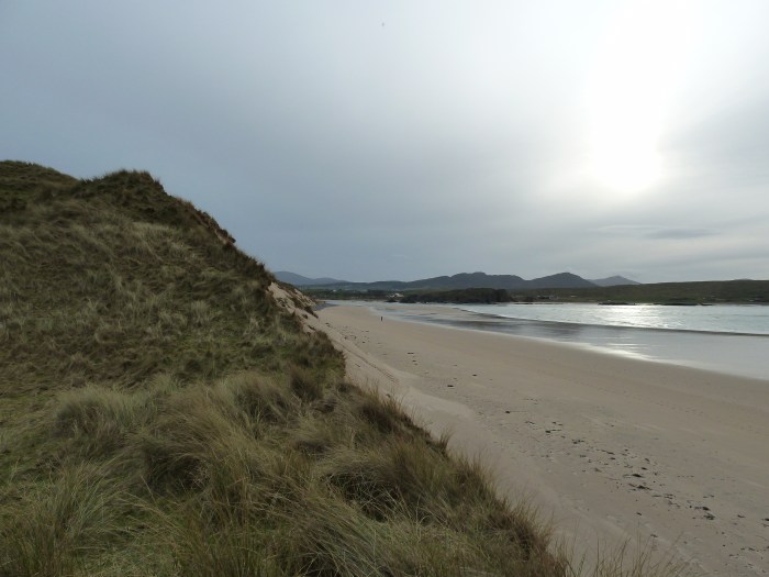 View Along Five Finger Strand - CrawCrafts Beasties