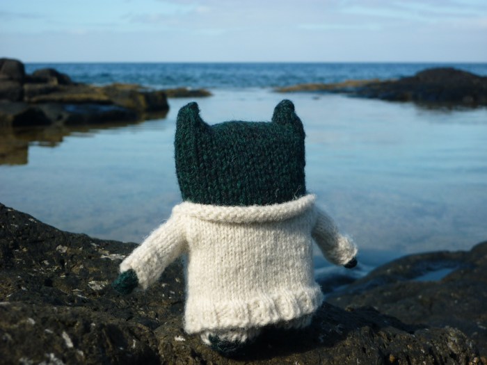 Paddy Discovers Rock Pools - H Crawford/CrawCrafts Beasties