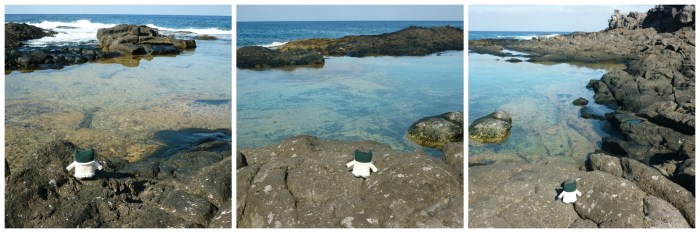 Paddy at the Water's Edge - H Crawford/CrawCrafts Beasties