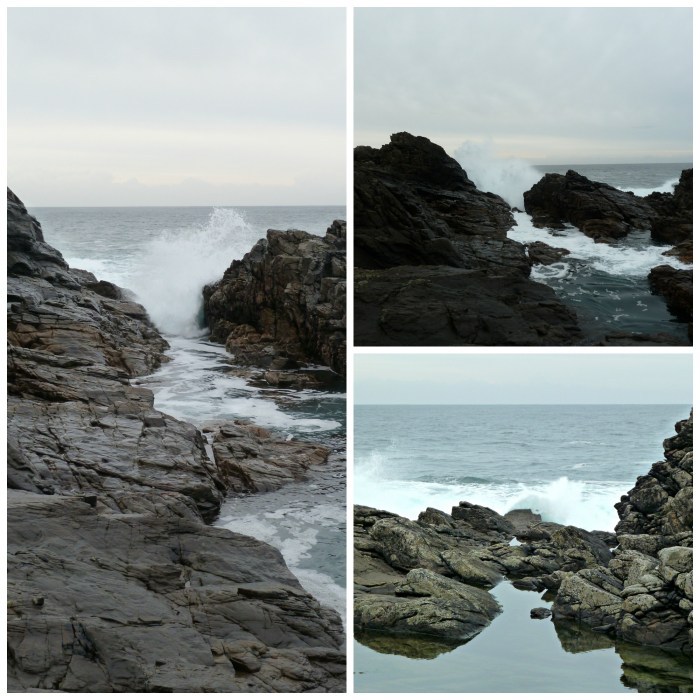 Wave Watching - CrawCrafts Beasties