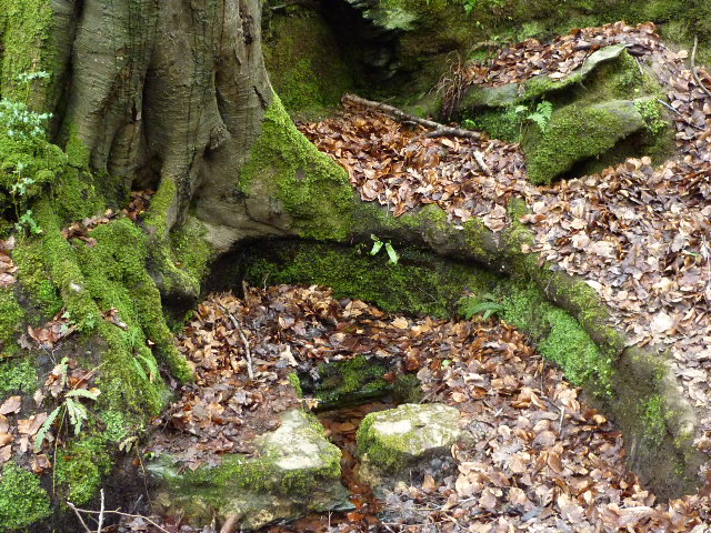 Holy Well near Limavady, Northern Ireland - H Crawford/CrawCrafts Beasties