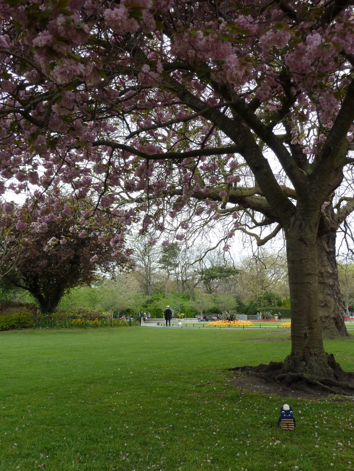 Explorer Beastie under the Cherry Trees - CrawCrafts Beasties